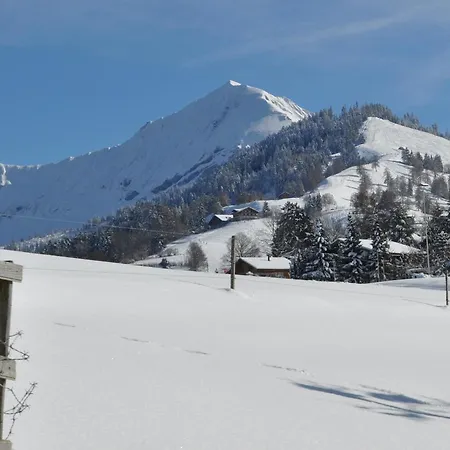Ruhe Pur Apartmán Aeschi Bei Spiez