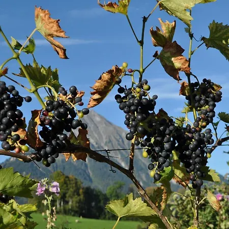شقة Ruhe Pur Aeschi Bei Spiez